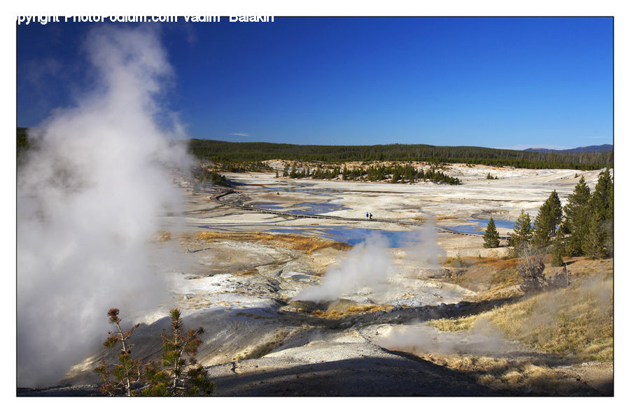Eruption, Geyser, Outdoors, Water, Conifer, Larch, Tree