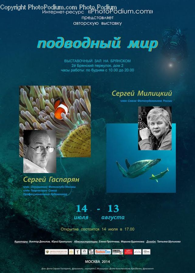 People, Person, Human, Flyer, Poster, Brochure, Collage