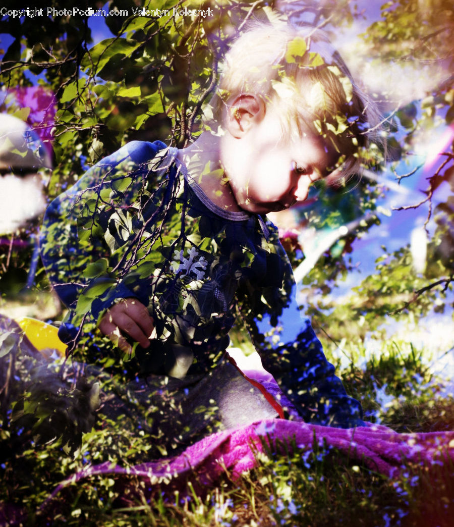 Confetti, Paper, Bird, Jay, Blue Jay, Bluebird, Blossom