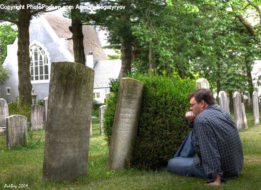 Human, People, Person, Tomb, Oak, Tree, Wood