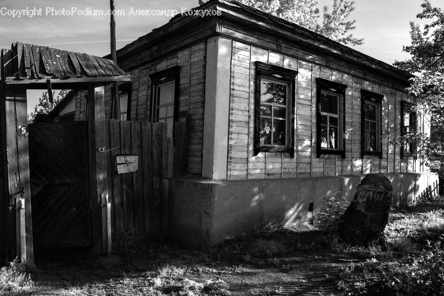 Cabin, Hut, Rural, Shack, Shelter, Head, Portrait