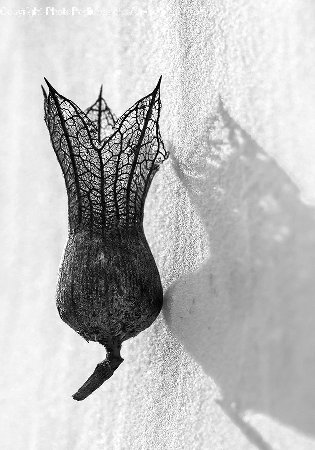Silhouette
