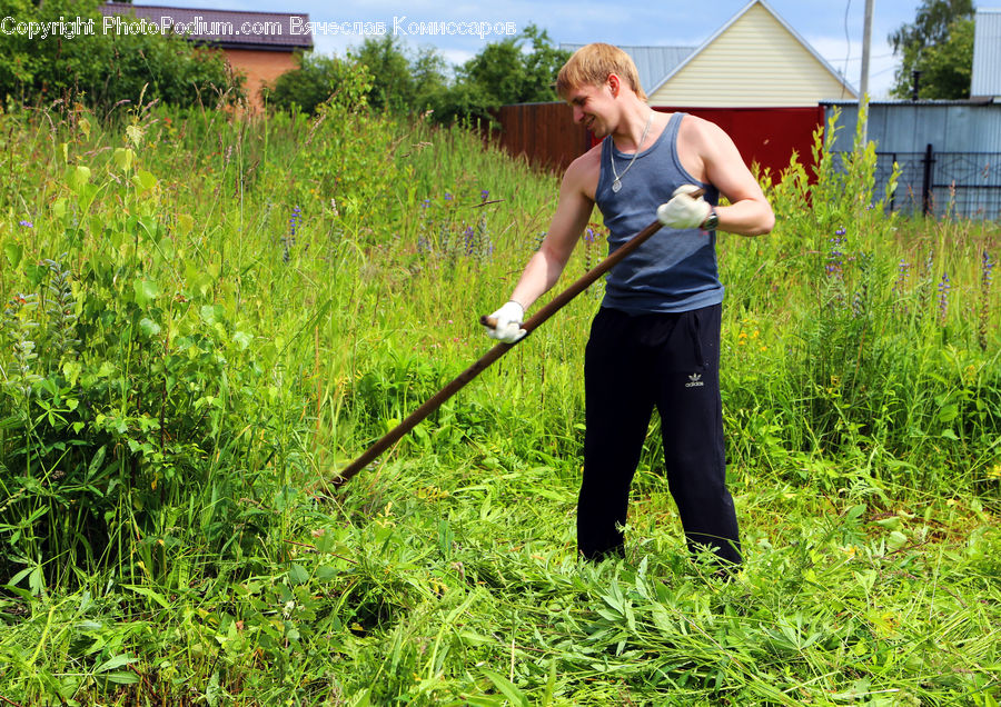 Human, People, Person, Field, Bush, Plant, Vegetation