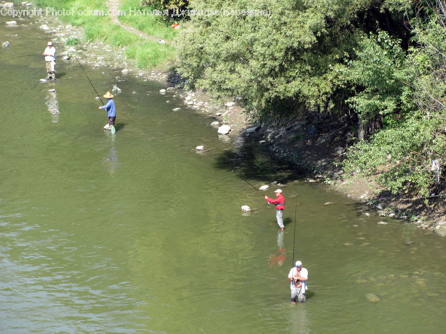 Adventure, Bungee, Rope, Leisure Activities, Plant, Vegetation
