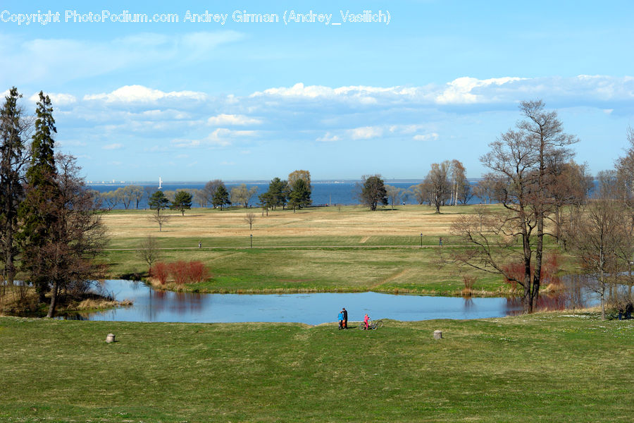 Golf Course, Grassland, Field, Grass, Land, Outdoors, Plant
