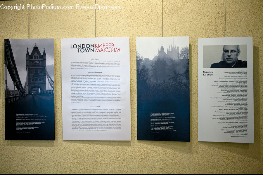 Brochure, Flyer, Paper, Poster, Person, Portrait, Selfie