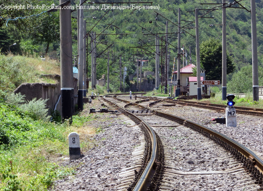 Rail, Train Track, Freight Car, Shipping Container, Vehicle, Outdoors, Bush