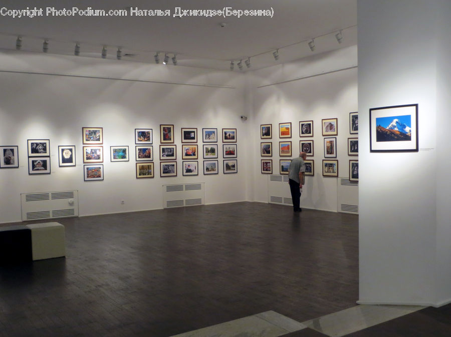 Art, Art Gallery, Floor, Flooring, Entertainment Center, Modern Art, Indoors