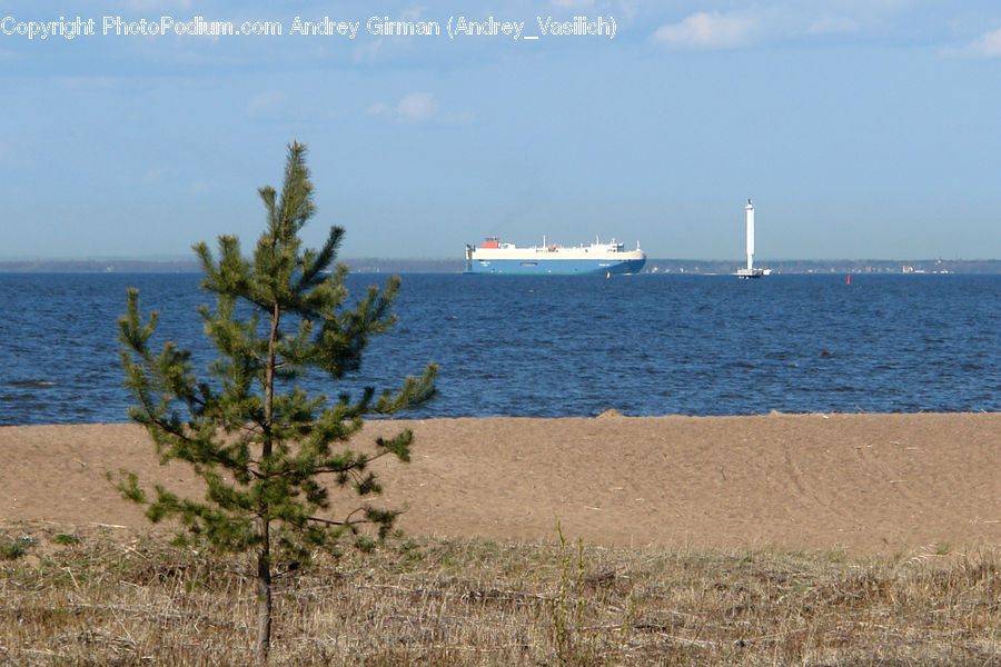 Ferry, Freighter, Ship, Tanker, Vessel, Beach, Coast