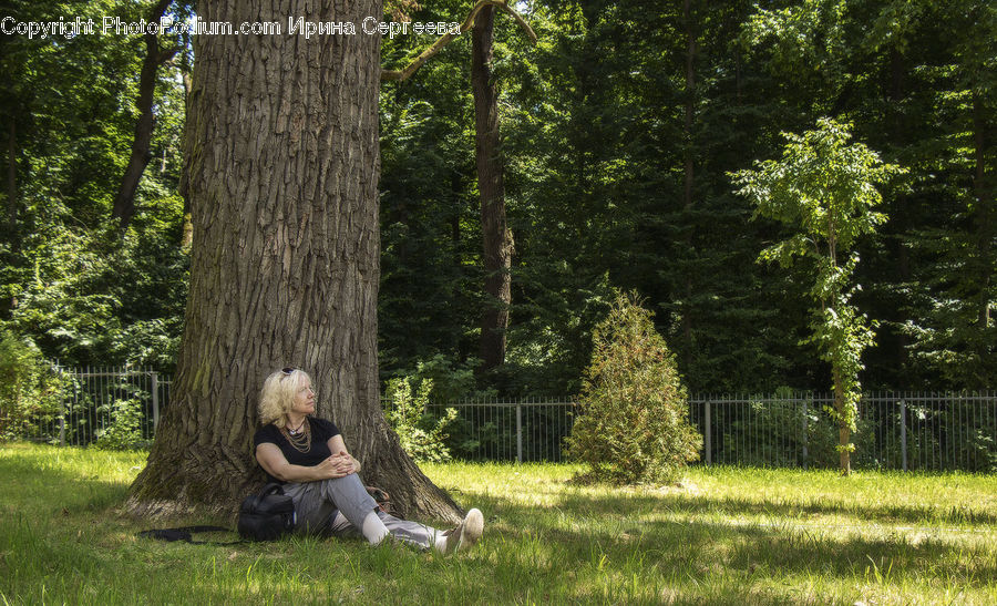 People, Person, Human, Blonde, Female, Woman, Forest