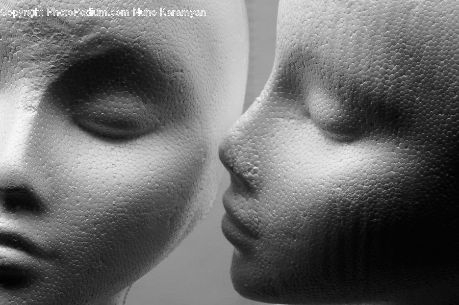Head, Portrait, Face, Selfie, Person, People