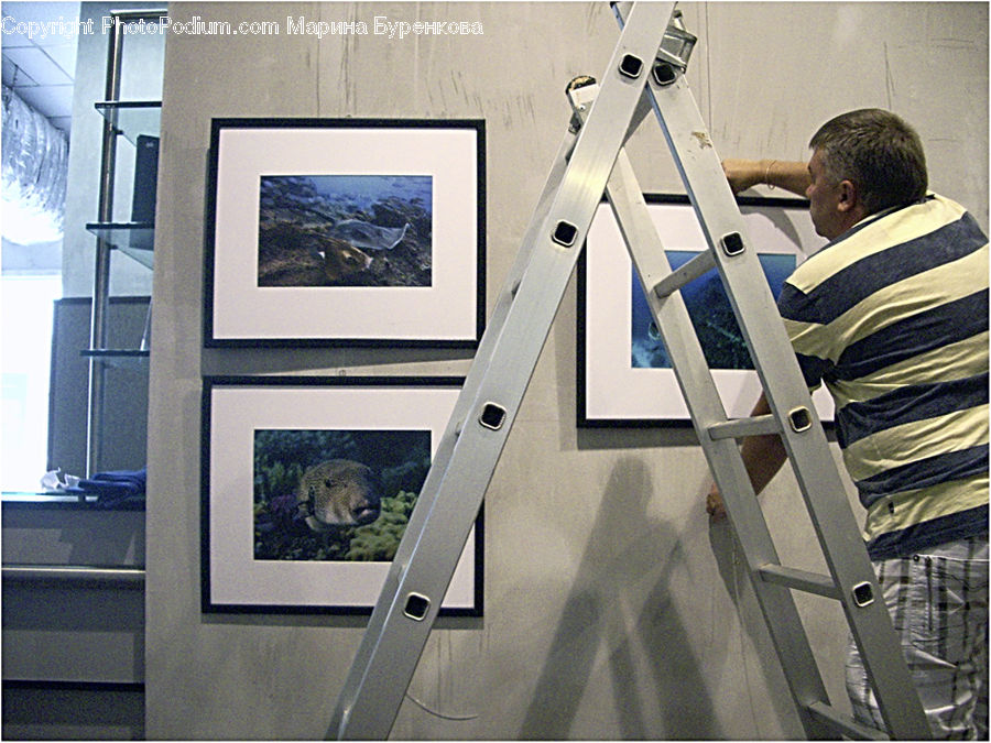 People, Person, Human, Banister, Handrail, Art, Art Gallery