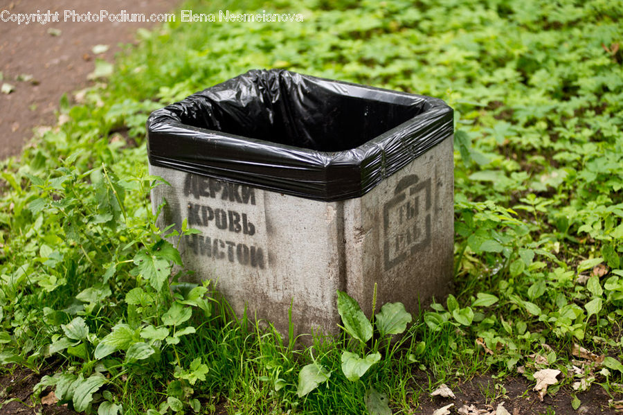 Tomb, Herbal, Herbs, Plant, Planter, Mint, Produce