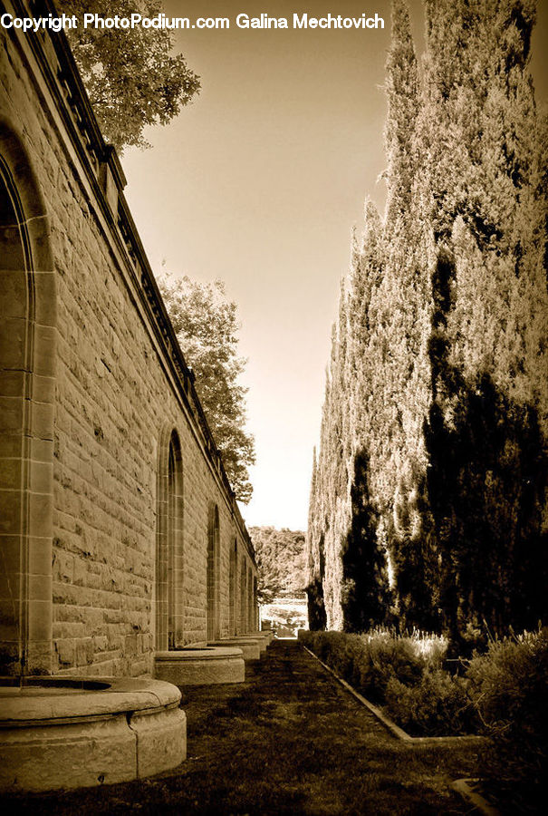 Tomb, Cobblestone, Pavement, Walkway, Dirt Road, Gravel, Road