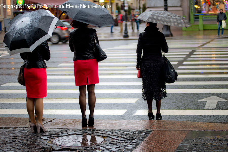 Human, People, Person, Umbrella, Asphalt, Road, Zebra Crossing