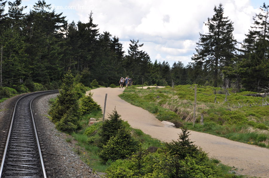 Dirt Road, Gravel, Road, Rail, Train Track, Landscape, Nature