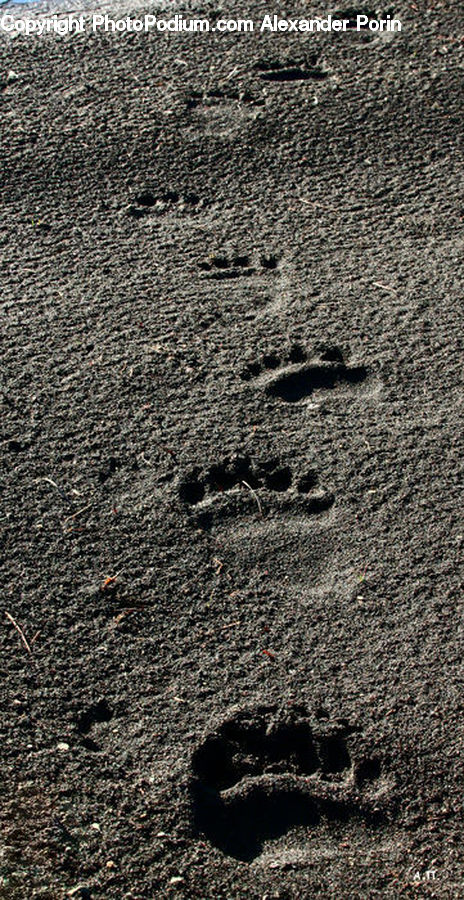 Asphalt, Tarmac, Soil, Ground, Outdoors, Sand