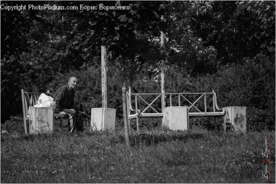 Chair, Furniture, Luggage, Suitcase, Countryside, Farm, Field