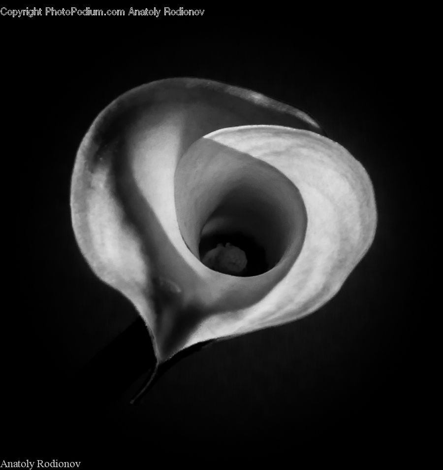 Spiral