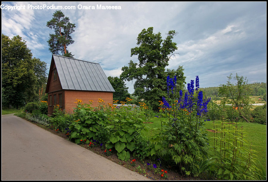 Building, Cottage, Housing, Herbal, Herbs, Plant, Planter