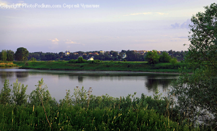 Field, Grass, Grassland, Plant, Outdoors, Pond, Water