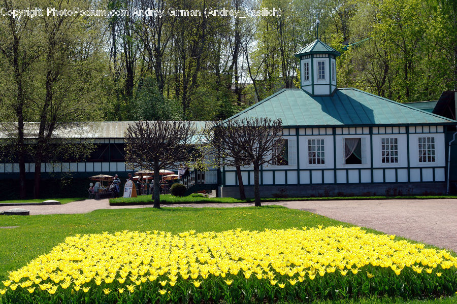 Gazebo, Bench, Building, Cottage, Housing, Field, Grass