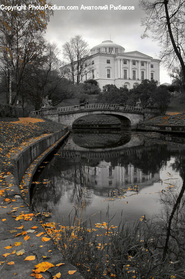 Canal, Outdoors, River, Water, Land, Marsh, Pond