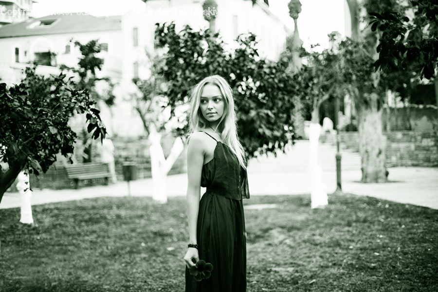Blonde, Female, Person, Woman, Ivy, Plant, Vine
