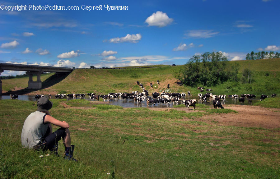 People, Person, Human, Field, Grass, Grassland, Land