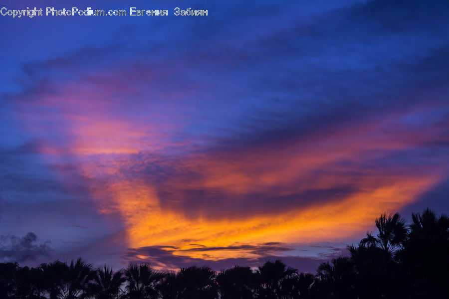 Dawn, Dusk, Red Sky, Sky, Sunrise, Sunset, Outdoors