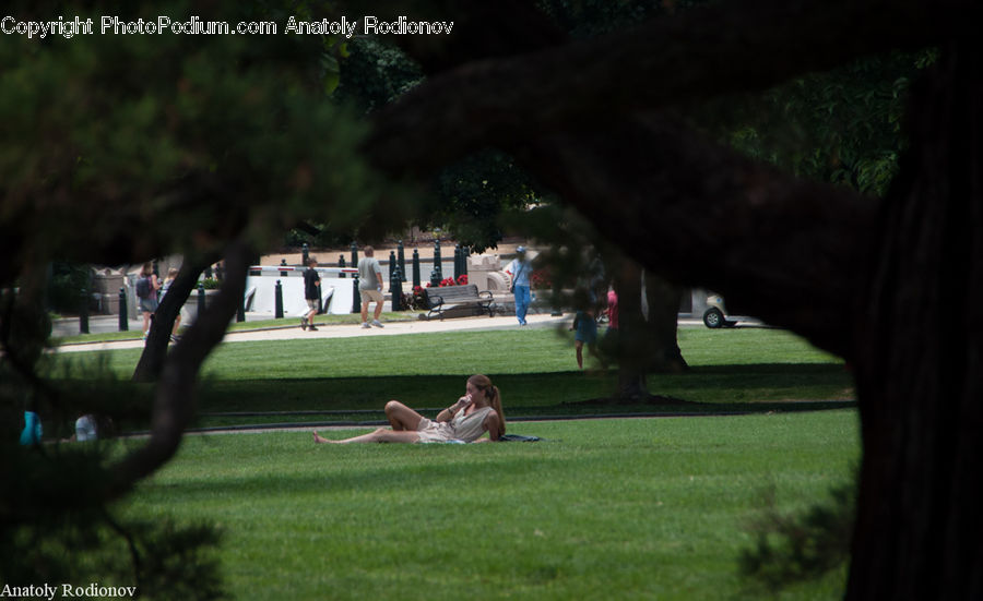 Park