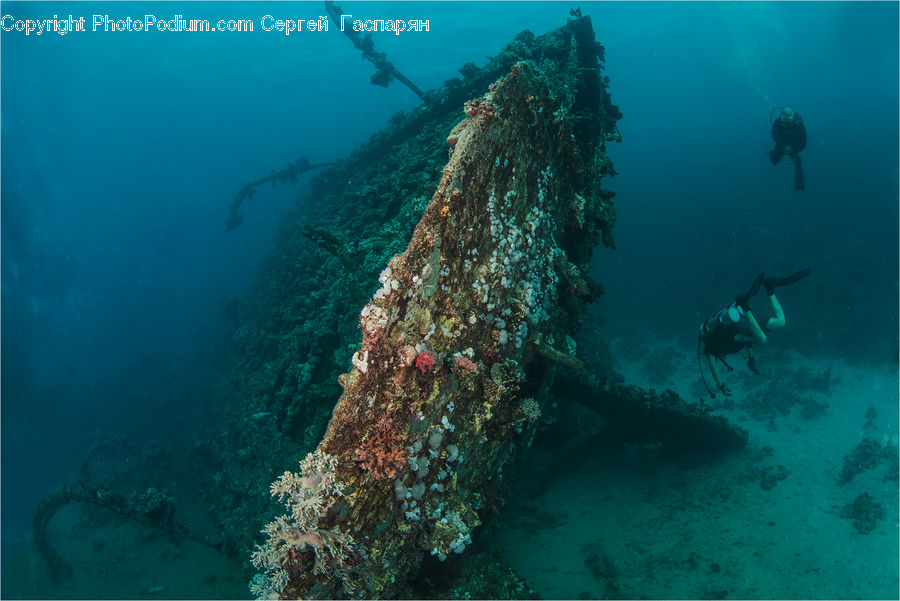 Diver, Diving, Sport, Water, Shipwreck, Coral Reef, Outdoors