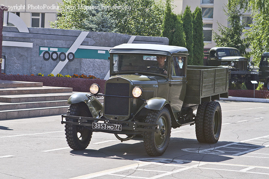 Plant, Potted Plant, Car, Pickup Truck, Truck, Vehicle, Antique Car