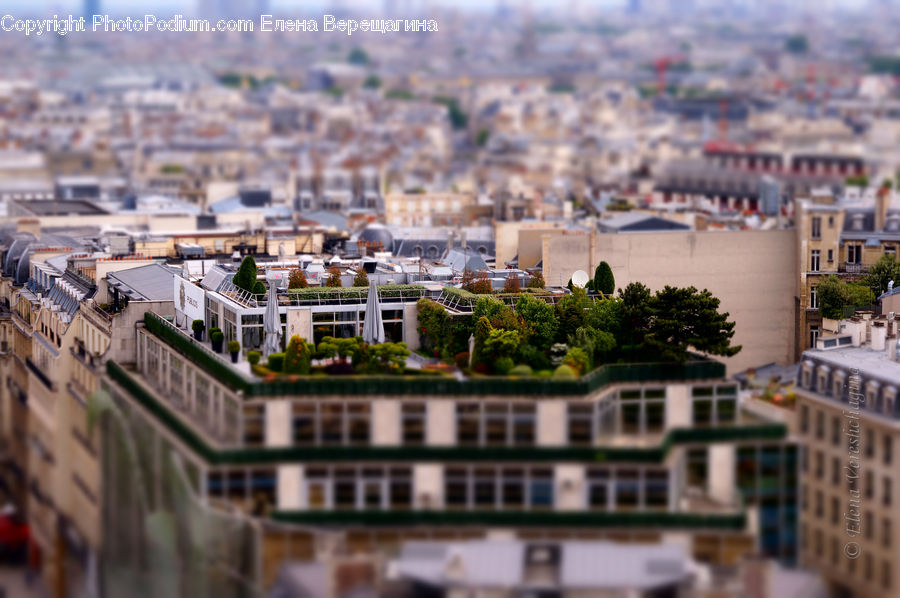 Aerial View, Building, Housing, City, Downtown, Metropolis, Urban