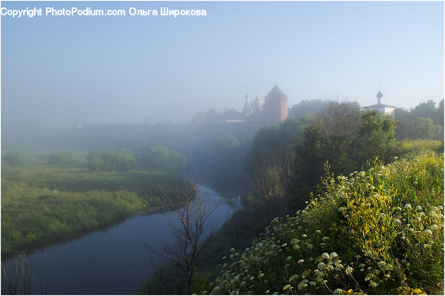 Fog, Mist, Outdoors, Landscape, Nature, Scenery, Plant