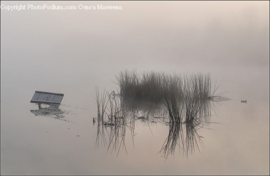 Flood, Field, Grass, Grassland, Plant