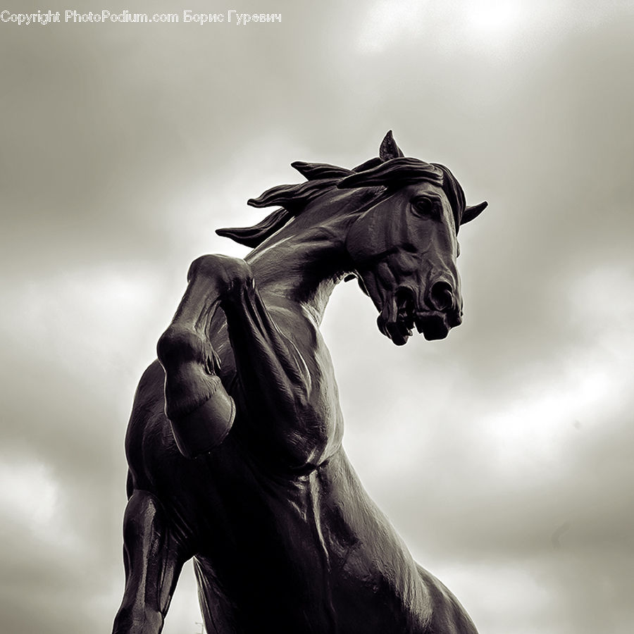 Art, Gargoyle, Statue, Sculpture
