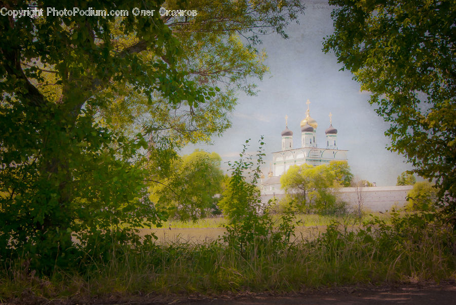 Architecture, Bell Tower, Clock Tower, Tower, Bush, Plant, Vegetation