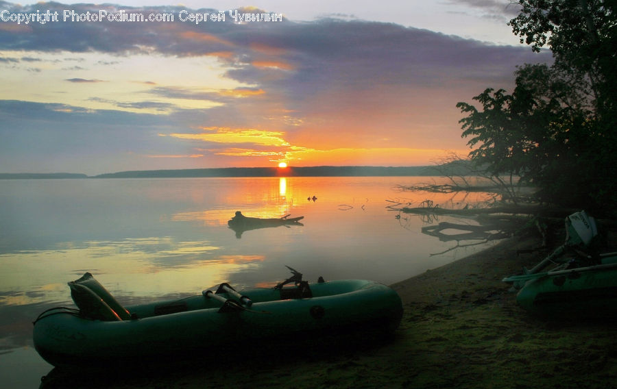 Boat, Dinghy, Camping, Canoe, Rowboat, Plant, Tree