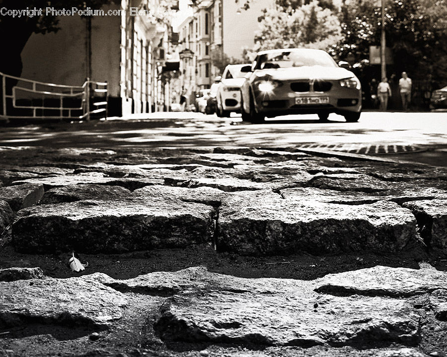 Plant, Potted Plant, Automobile, Car, Vehicle, Sedan, Cab