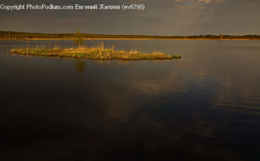 Dawn, Dusk, Sky, Sunrise, Sunset, Coast, Outdoors