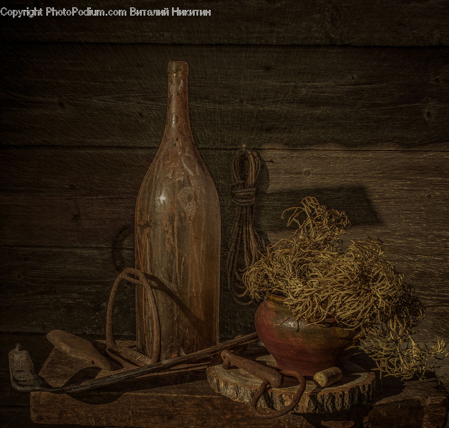 Garlic, Plant, Alcohol, Beer, Beer Bottle, Beverage, Bottle