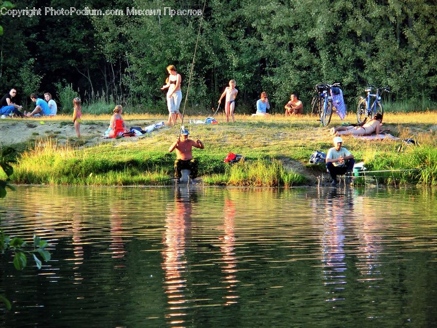 Outdoors, Pond, Water, Leisure Activities, Blossom, Flora, Flower