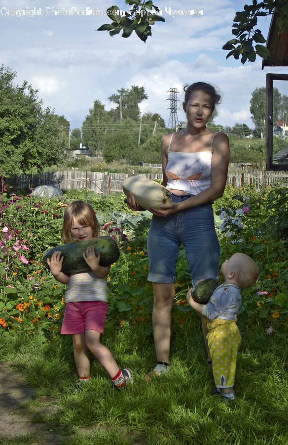 Human, People, Person, Plant, Potted Plant, Backyard, Yard