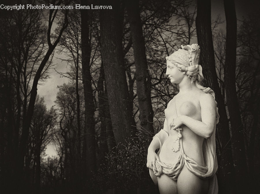 People, Person, Human, Art, Sculpture, Statue, Forest