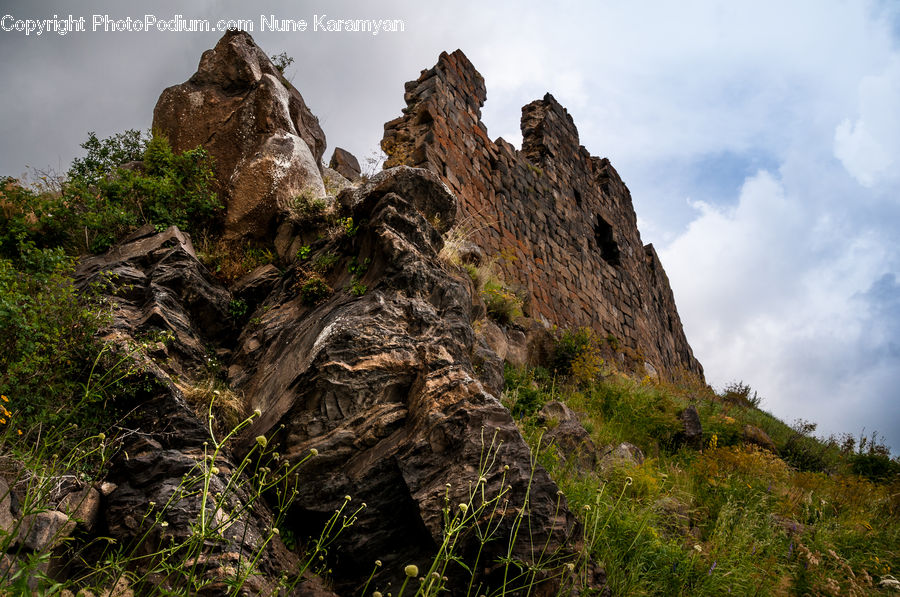 Rock, Cliff, Outdoors, Forest, Jungle, Rainforest, Vegetation