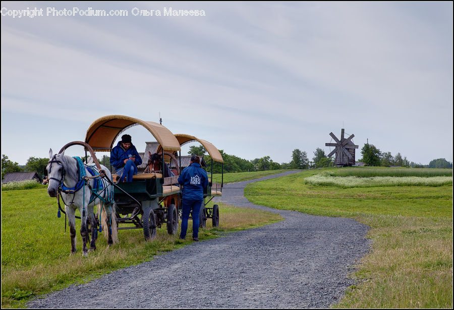 Animal, Horse, Mammal, Carriage, Horse Cart, Vehicle, Dirt Road