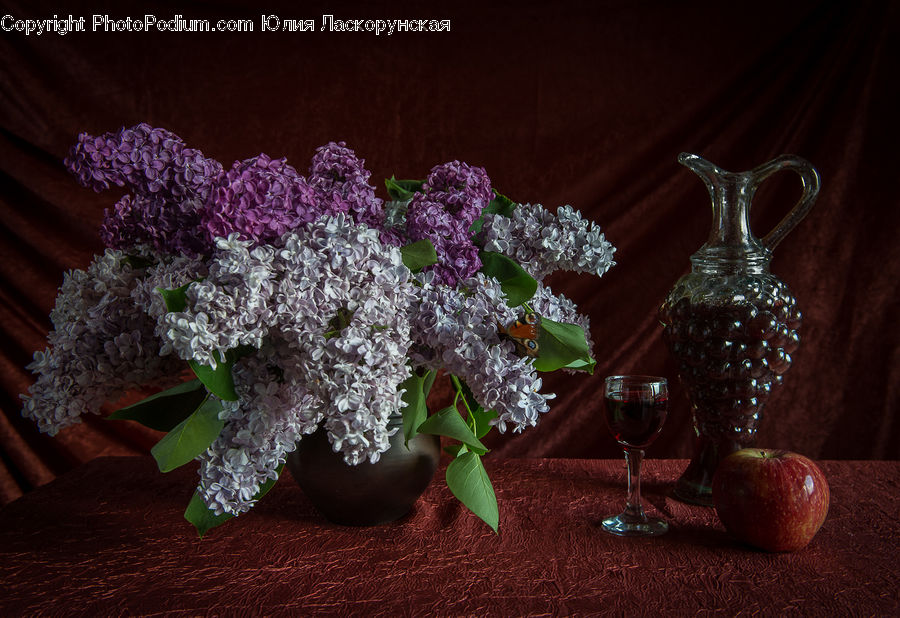 Apple, Fruit, Blossom, Flower, Lilac, Plant, Potted Plant