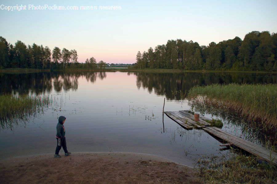Land, Marsh, Pond, Swamp, Water, Outdoors, Lake