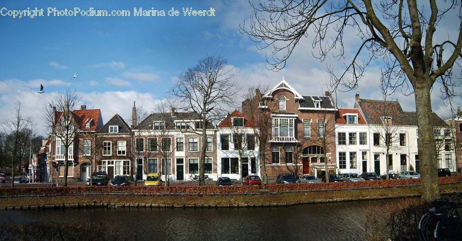 Plant, Tree, Canal, Outdoors, River, Water, Architecture